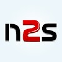 N2S.Global logo